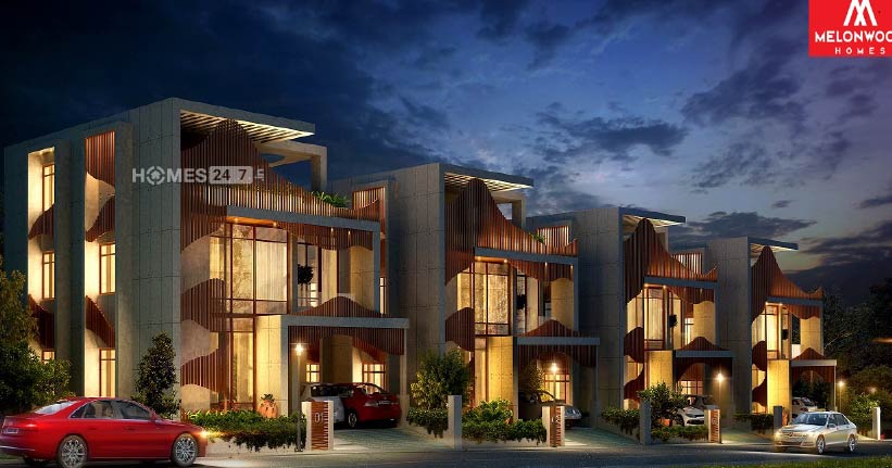 Melonwood Waves Cover Image